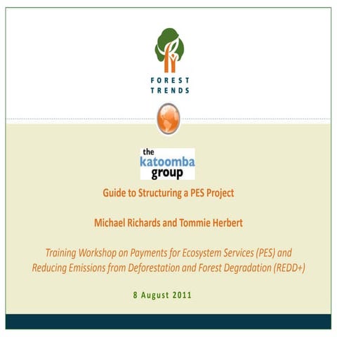 Guide to structuring a PES project