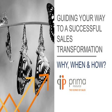 Guiding your way to a successful sales transformation
