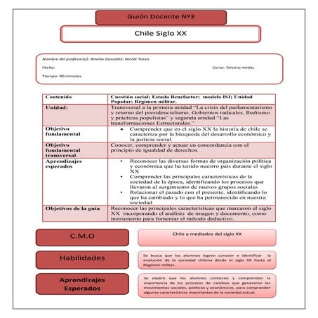 Guión docente 3 optativo