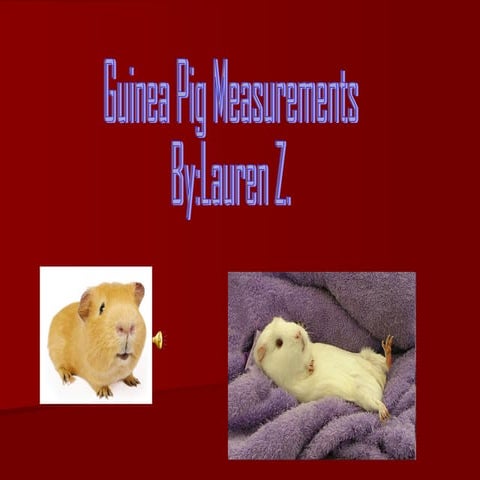 Guinea Pig Power Point