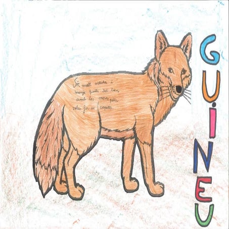 Guineu