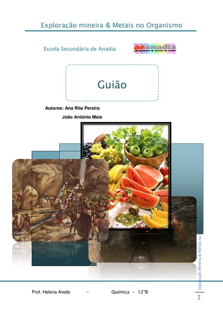 Guião exploração mineira e metais n...