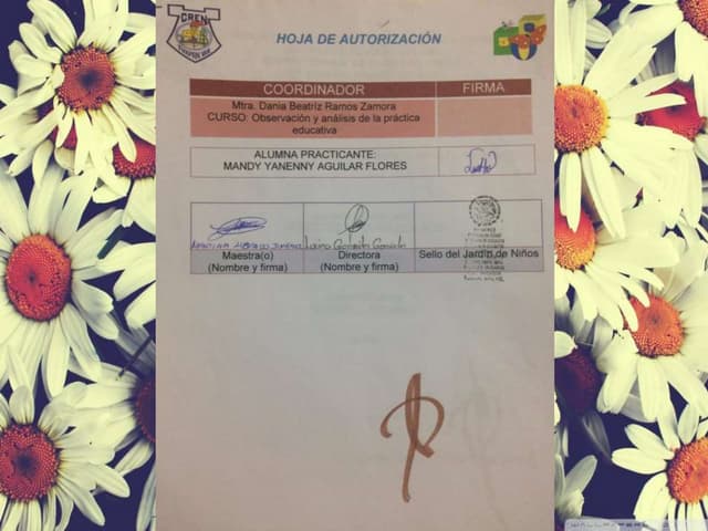 Guion de Observacion 4