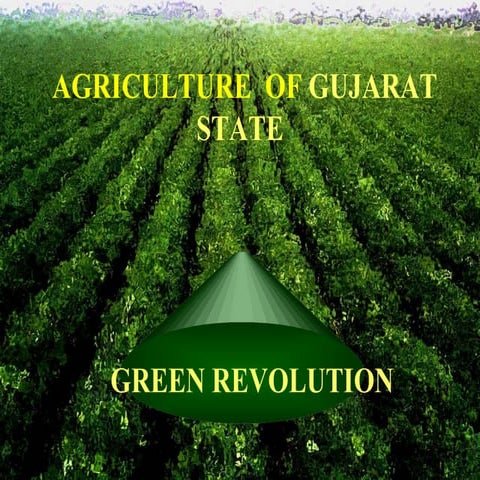 Agriculture of Gujarat State- Green Revolution