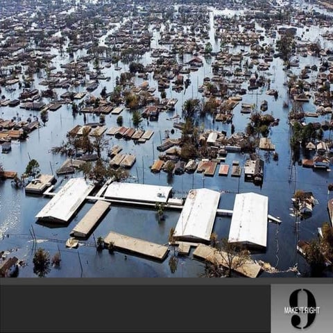 Gulf Coast Green - Tim Duggan