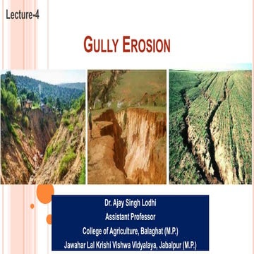 Gully Erosion.pptx