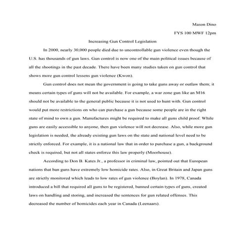 Gun control essay
