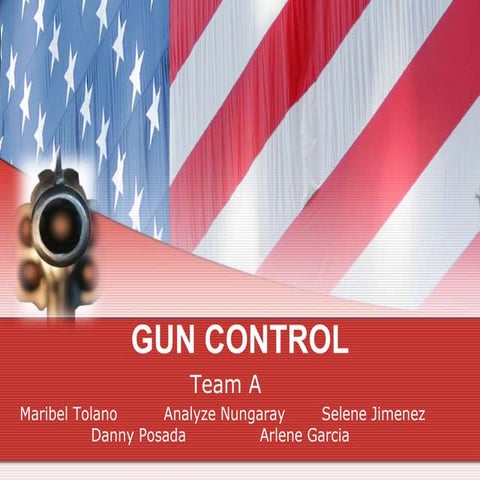 Gun+control+presentation