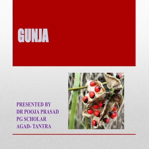 GUNJA.pptx