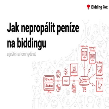 Jak nepropálit peníze na biddingu a ještě na tom vydělat, Jiří Guňka (Bidding...