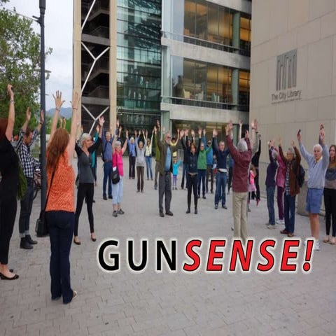Gunsense! on Gun Violence in the U.S.