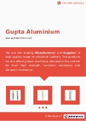 Aluminum Extension Ladders