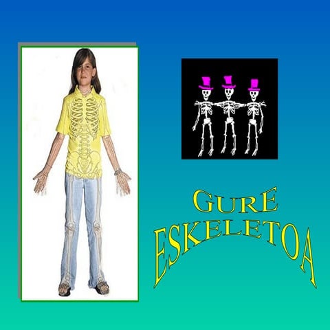 Gure eskeletoa