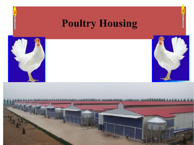 Poultry Housing Poultry Housing