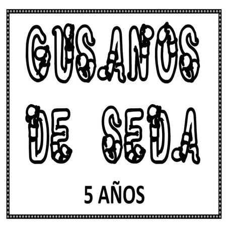 Gusanos de seda 5 años