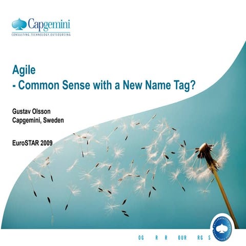 Gustav Olsson - Agile - Common Sense with a New Name Tag revised