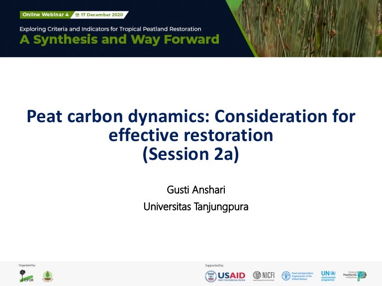 thumbnail of  Peat carbon dynamics: Consideration for effective restoration