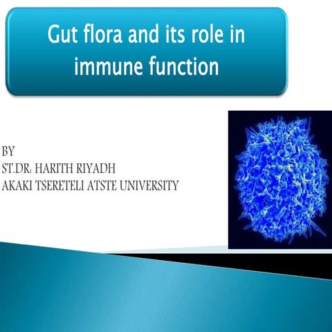 Gut flora and immunity