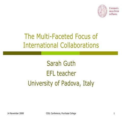 The Multi-Faceted Focus of International Collaborations