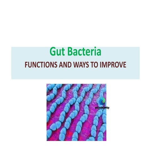 GUT MICROBIOME AND ITS FUNCTIONS IN THE COLON