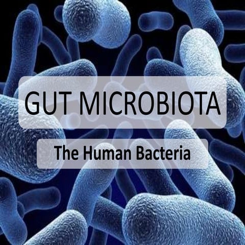 Human Microbiome - Gut Microbiota
