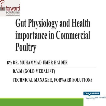 Gut physiology and health importance in commercial poultry