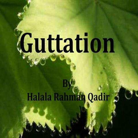 Guttatuion
