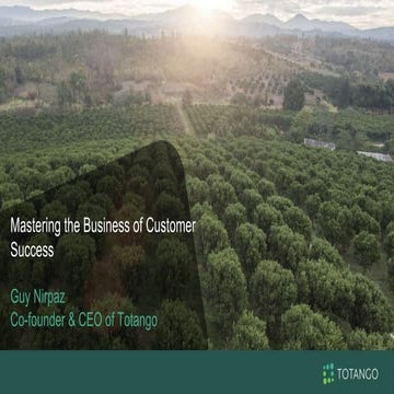Mastering the Business of Customer Success