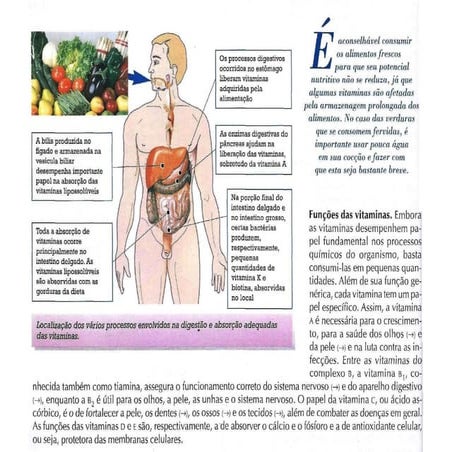 Digestão e absorção das vitaminas