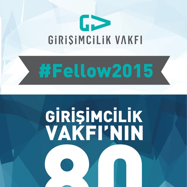 GV fellow program 2015