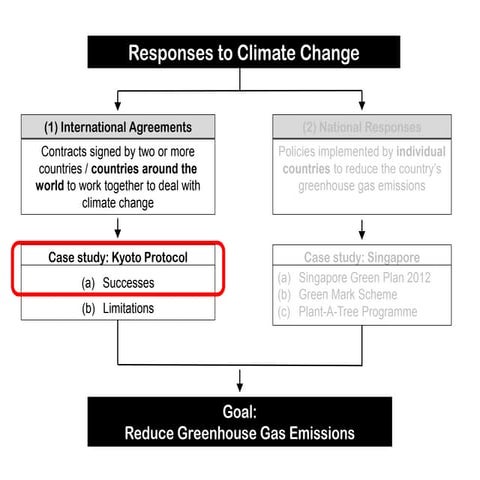 International Responses (Part 2)