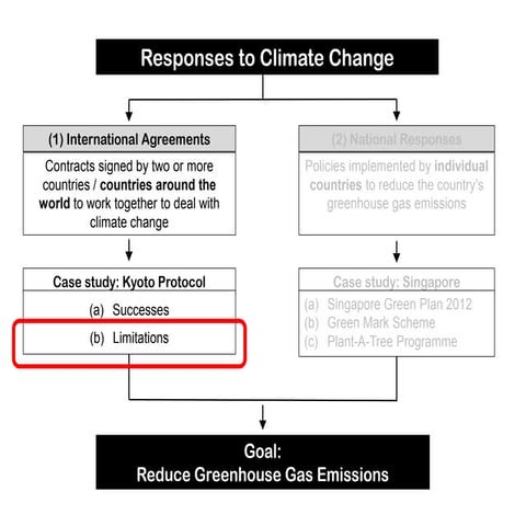 International Responses (Part 3)
