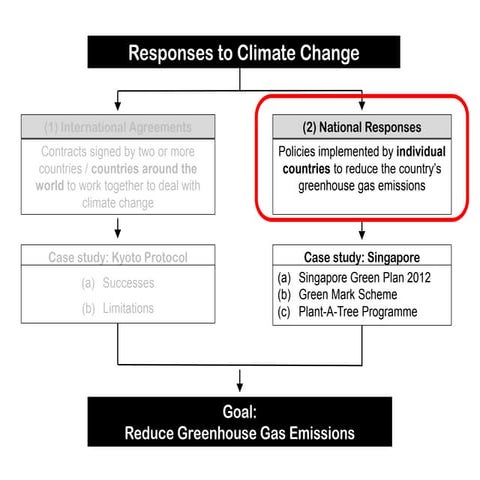 National Responses (Part 1)