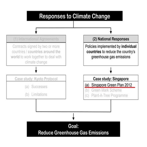 National Responses (Part 2)