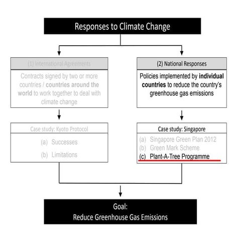 National Responses (Part 4)