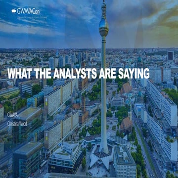 GWAVA: WHAT THE ANALYSTS ARE SAYING