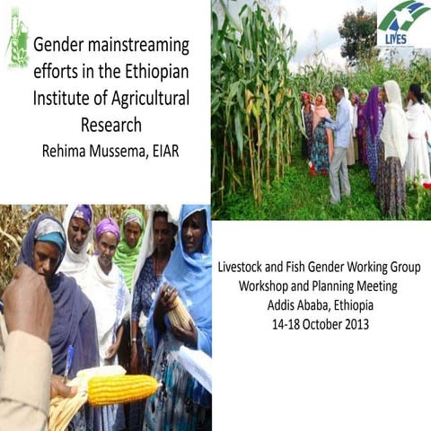 Gender mainstreaming efforts in the Ethiopian Institute of Agricultural Research