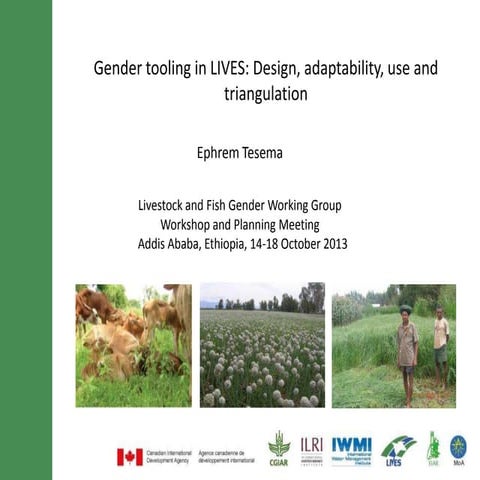 Gender tooling in LIVES: Design, adaptability, use and triangulation