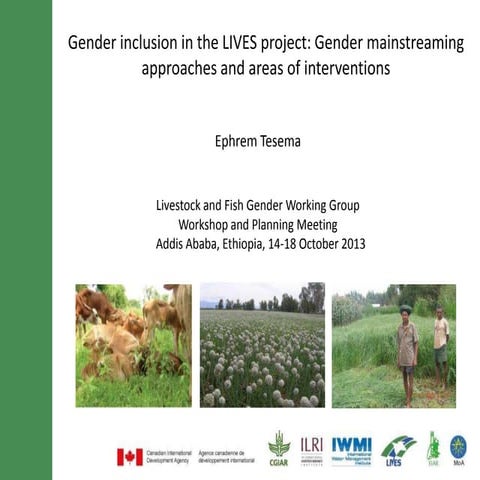 Gender inclusion in the LIVES project: Gender mainstreaming approaches and ar...