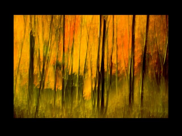 natural abstracts