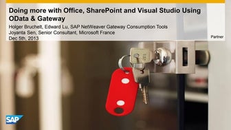 Microsoft Technical Webinar: Doing more with MS Office, SharePoint and Visual...