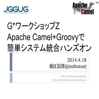 Gws 20140418 camel_groovy