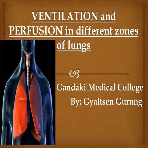 Ventilation and Perfusion in different zones of lungs.