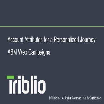 Account Based Marketing Web Campaigns
