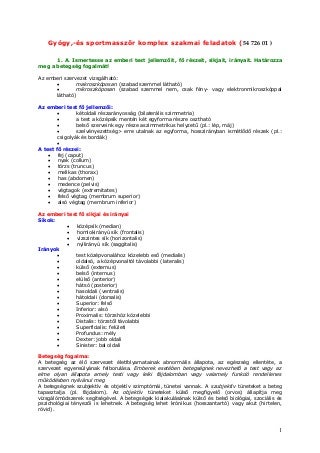 Gyógy, és sportmasszőr komplex szakmai feladatok (54 726 01 )kidolgozott tételsor