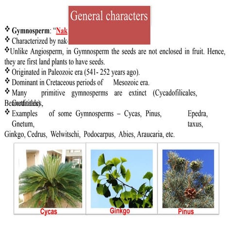 Gymnosperm.pptx general character and affinities