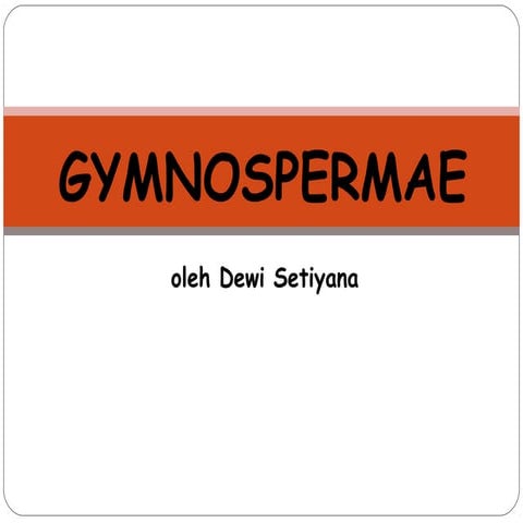 Gymnospermae - Anatomy