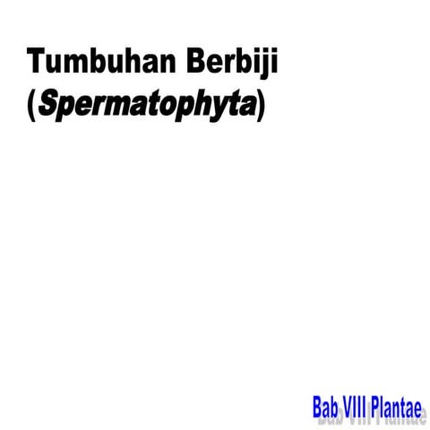 GYMNOSPERMAEpptpptpptpptpptpppptpppt.ppt