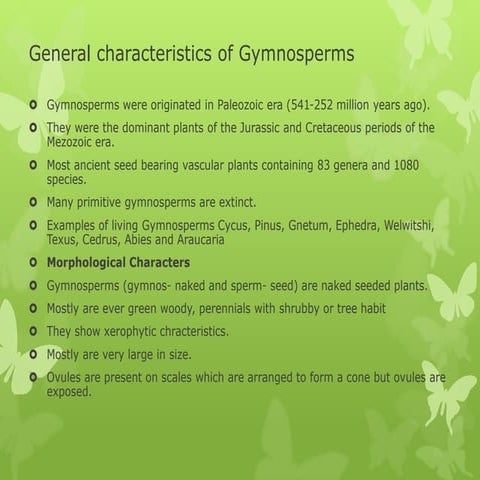 Gymnosperms.pptx