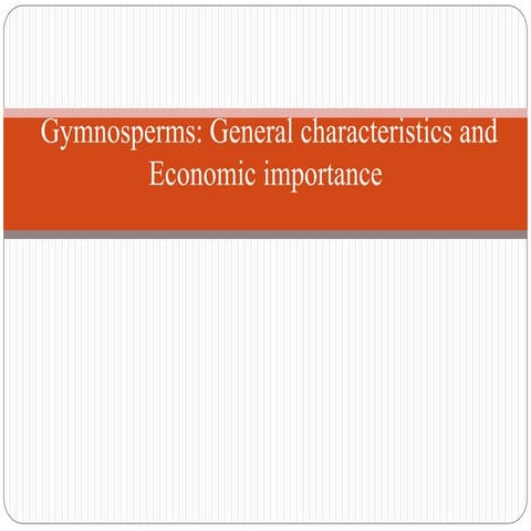 Gymnosperms - General characteristics and Economic importance.pptx